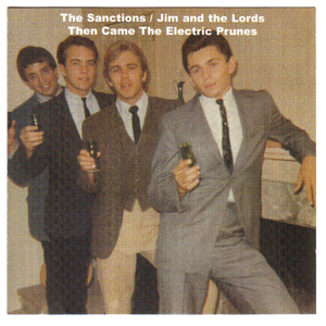 Then Came The Electric Prunes