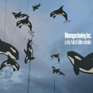 A Sky Full Of Killer Whales 