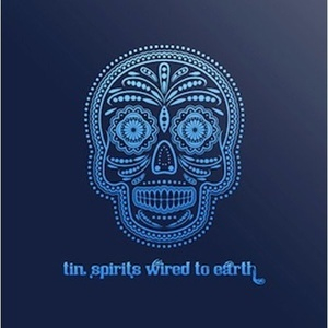 Wired To Earth