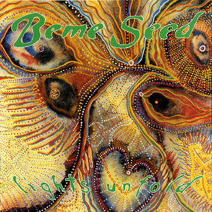 Lights Unfold