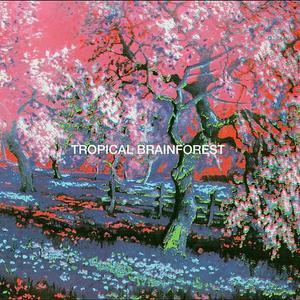 Tropical Brainforest (remastered)
