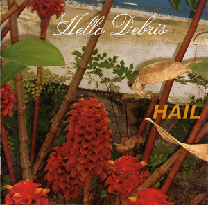 Hello Debris