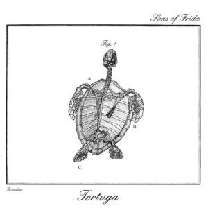 Tortuga