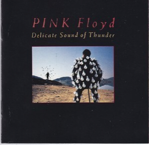 Delicate Sound Of Thunder (2CD)