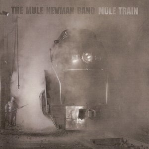 Mule Train