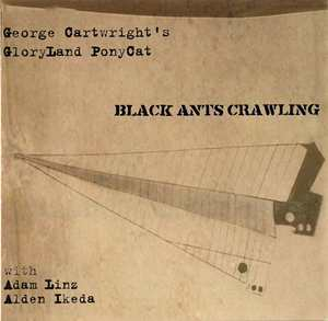 Black Ants Crawling