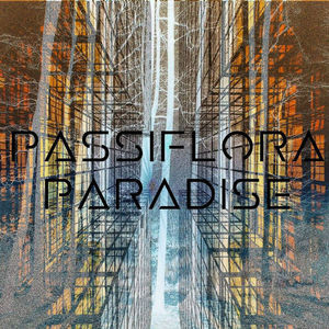 Passiflora Paradise
