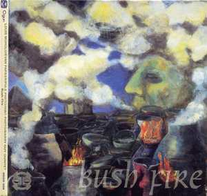 Bush Fire