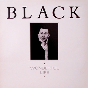 Wonderful Life (maxi Cd Single, Promo) (usa)