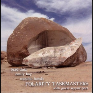 Polarity Taskmasters