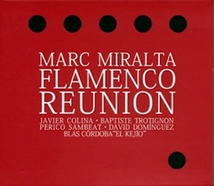 Flamenco Reunion