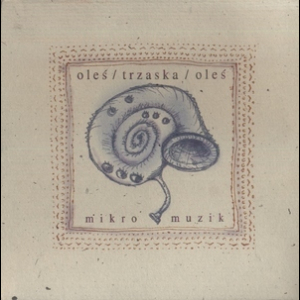 Mikro Muzik