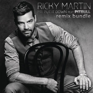 Mr. Put It Down (remixes)