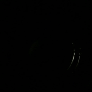 Lonesome Photon 