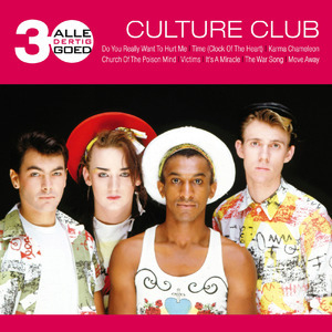 Alle 30 Goed Culture Club (2CD)