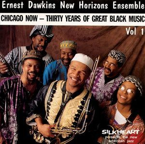 Chicago Now - Thirty Years Of Great Black Music Vol.1