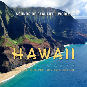 Ocean Waves: Hawaii