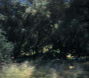 Wind