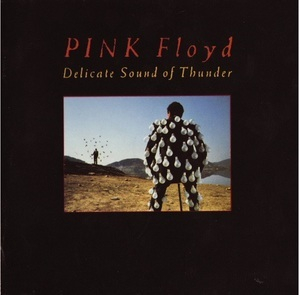 Delicate Sound Of Thunder