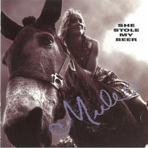 Mule