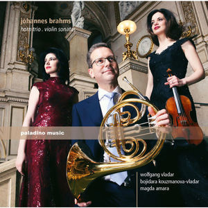 Brahms: Horn Trio & Violin Sonatas