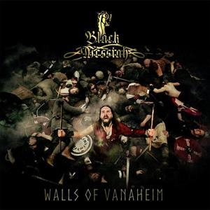 The Walls Of Vanaheim