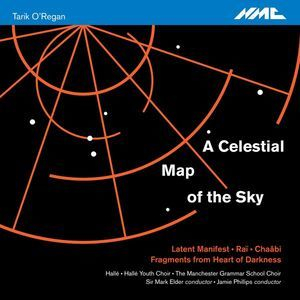 Tarik O'regan: A Celestial Map Of The Sky