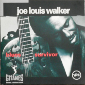 Blues Survivor
