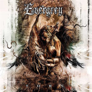 Torn (Limited Edition)