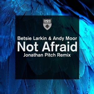 Not Afraid (jonathan Pitch Remix)