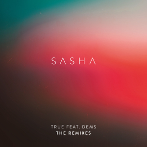 True [The Remixes]