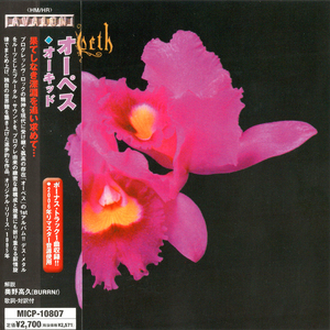 Orchid