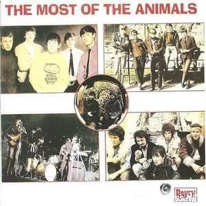 The Most Of The Animals