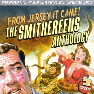 From Jersey It Came The Smithereens Anthology (2CD)