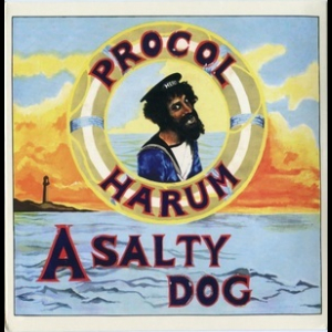 A Salty Dog