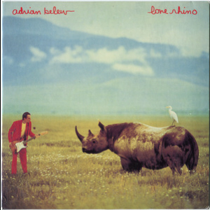 Lone Rhino