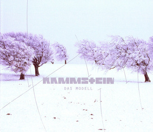 Das Modell  [CDM]