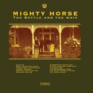 The Bottle And The Whip