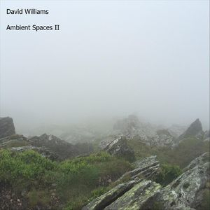 Ambient Spaces, Vol. II