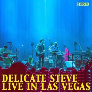 Delicate Steve Live In Las Vegas