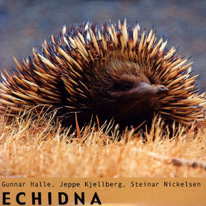 Echidna