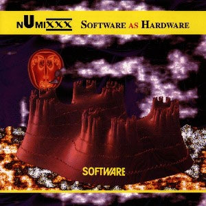 Software As Hardware