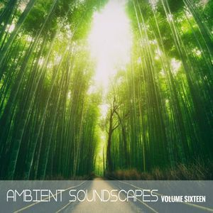 Ambient Soundscapes, Vol. 16