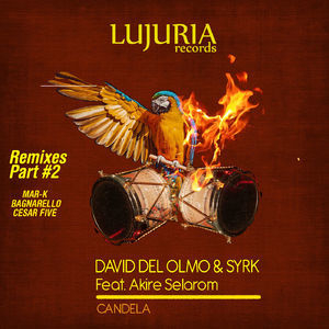 Candela Remixes Part #2