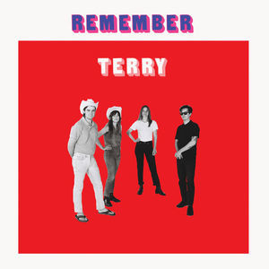 Remember Terry 