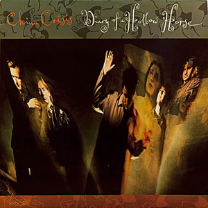 Diary Of A Hollow Horse