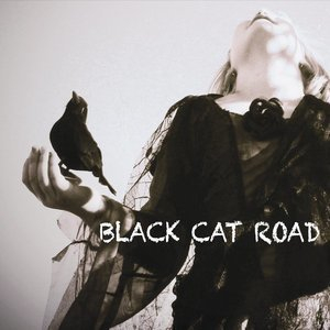 Black Cat Road