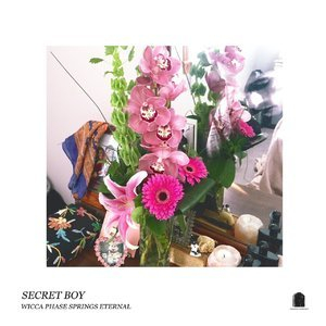 Secret Boy