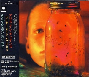 Jar Of Flies