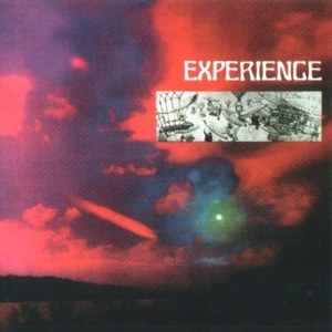 Experience